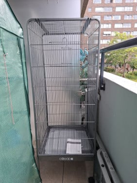 Vogelvolière XL - Vogelkooi – Grijs, metaal - 54 x 54 x 146 cm, nieuw!