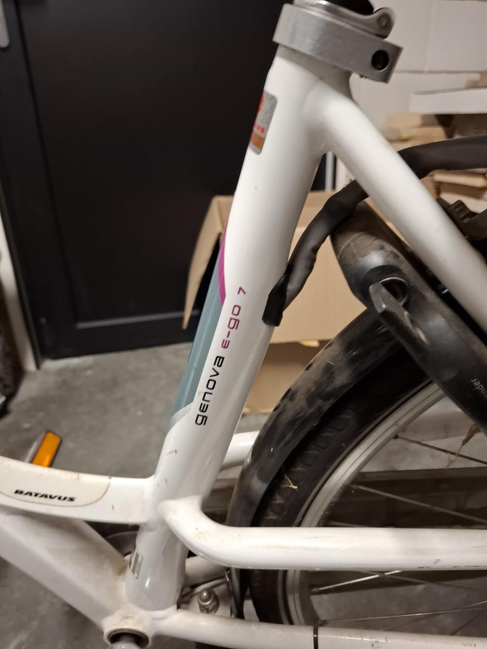 Elektrische damesfiets opknapper