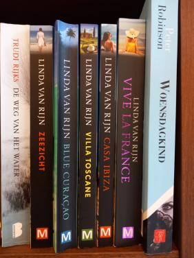 Boeken van Linda van Rijn