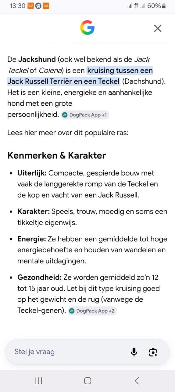 Nestaankondiging jackhunds