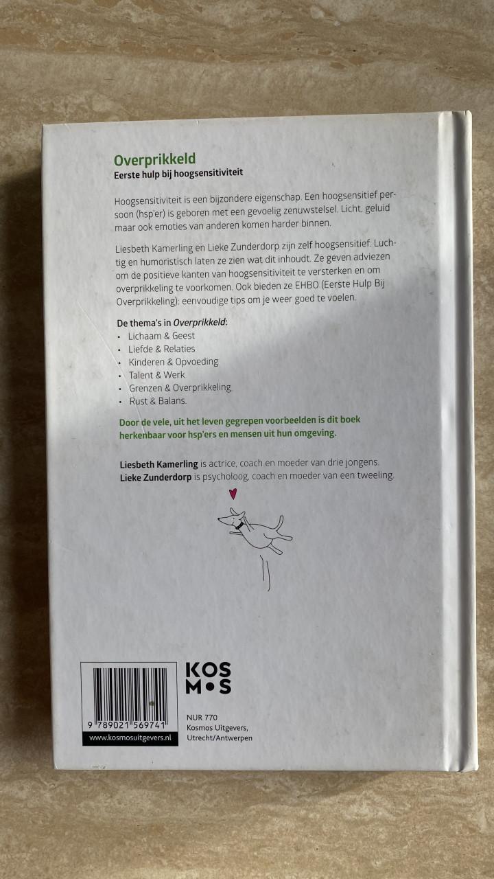 Boek: Overprikkeld door Liesbeth Kamerling