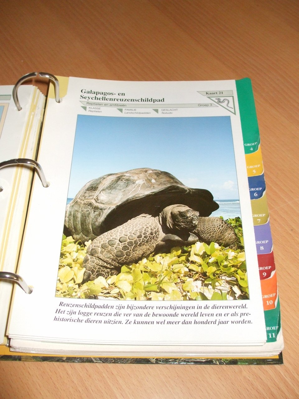 Te koop naslagwerk over dieren.