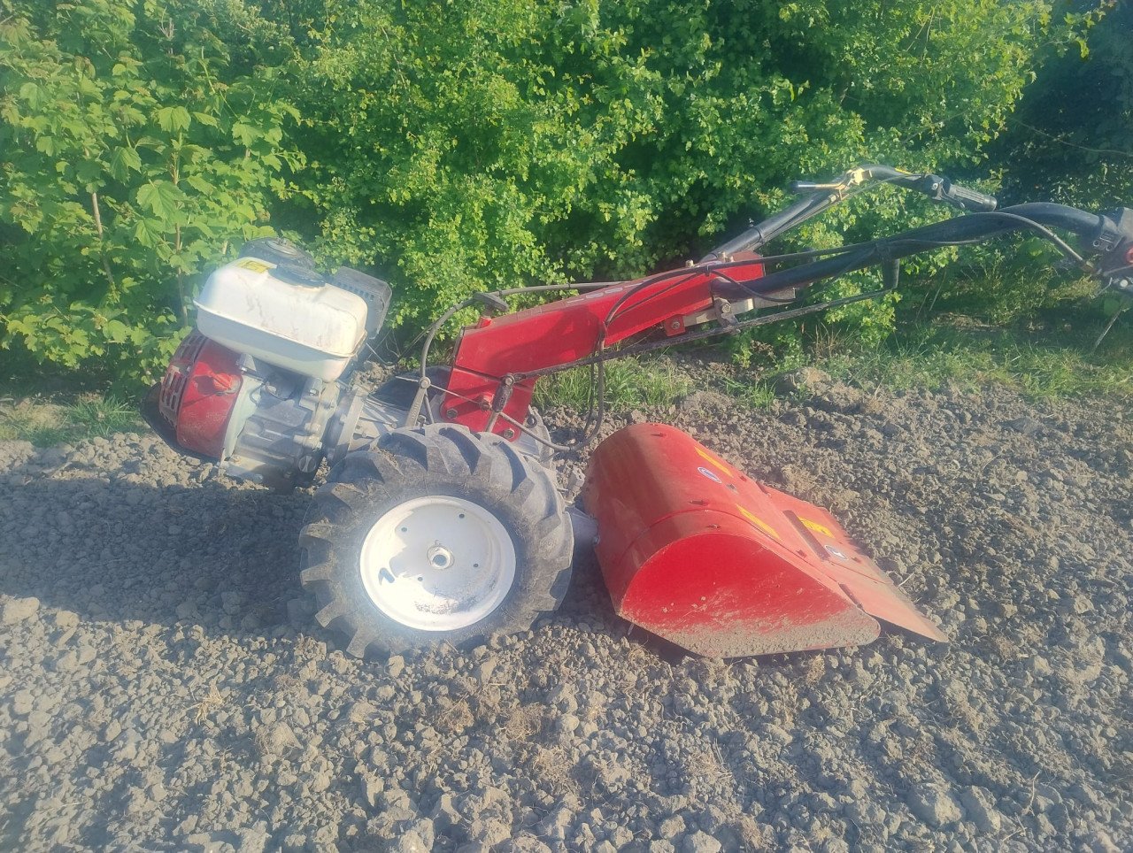 Tuinfrees/bakfrees honda Te huur