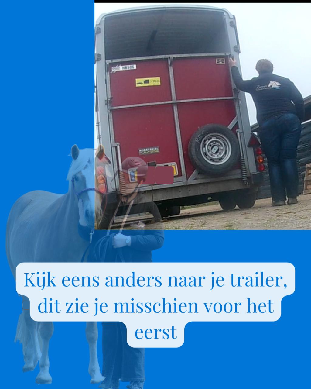 Ze vroeg om een paardentrainer, ze kreeg een coach voor zichzelf