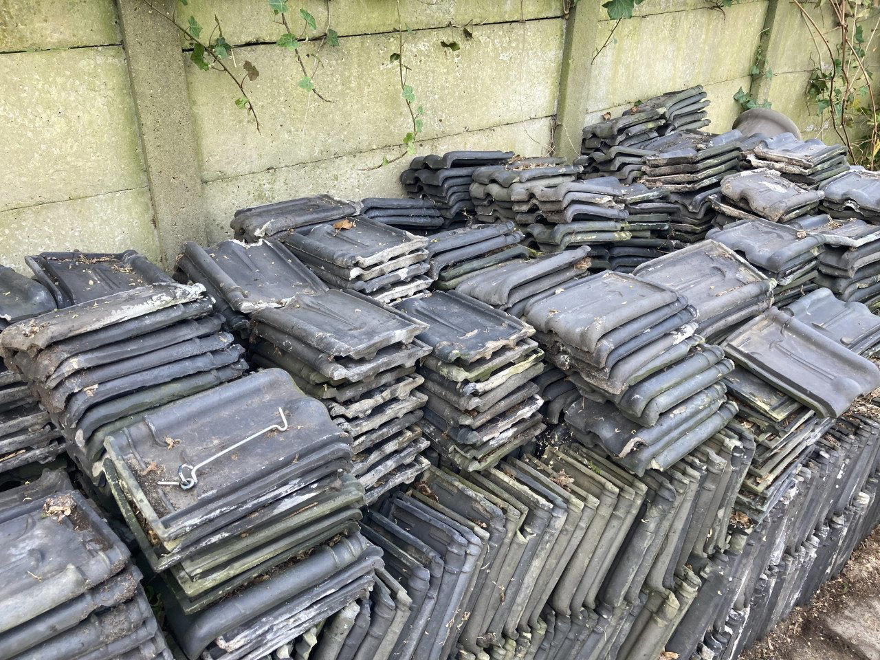 Kruispannen zwart
