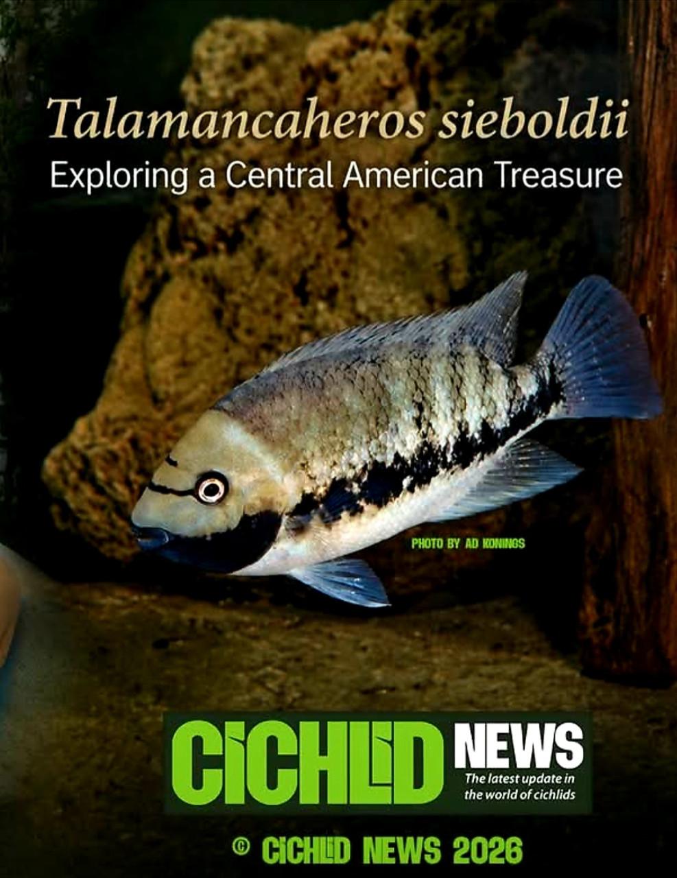 Aquariumvissen kweekgroep cichliden