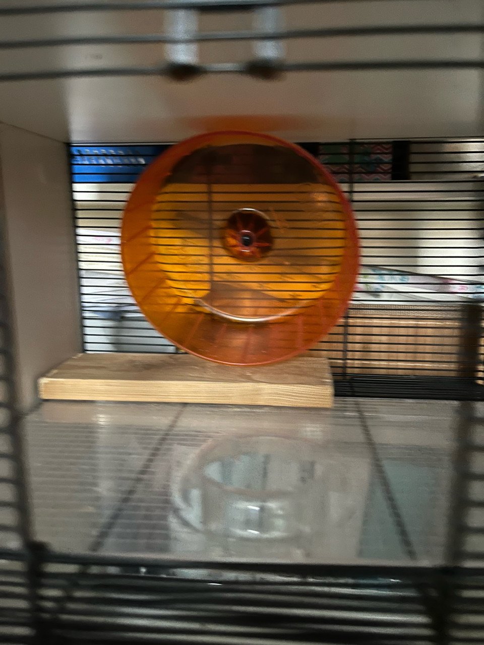 Praktische en gave (dwerg) hamsterkooi