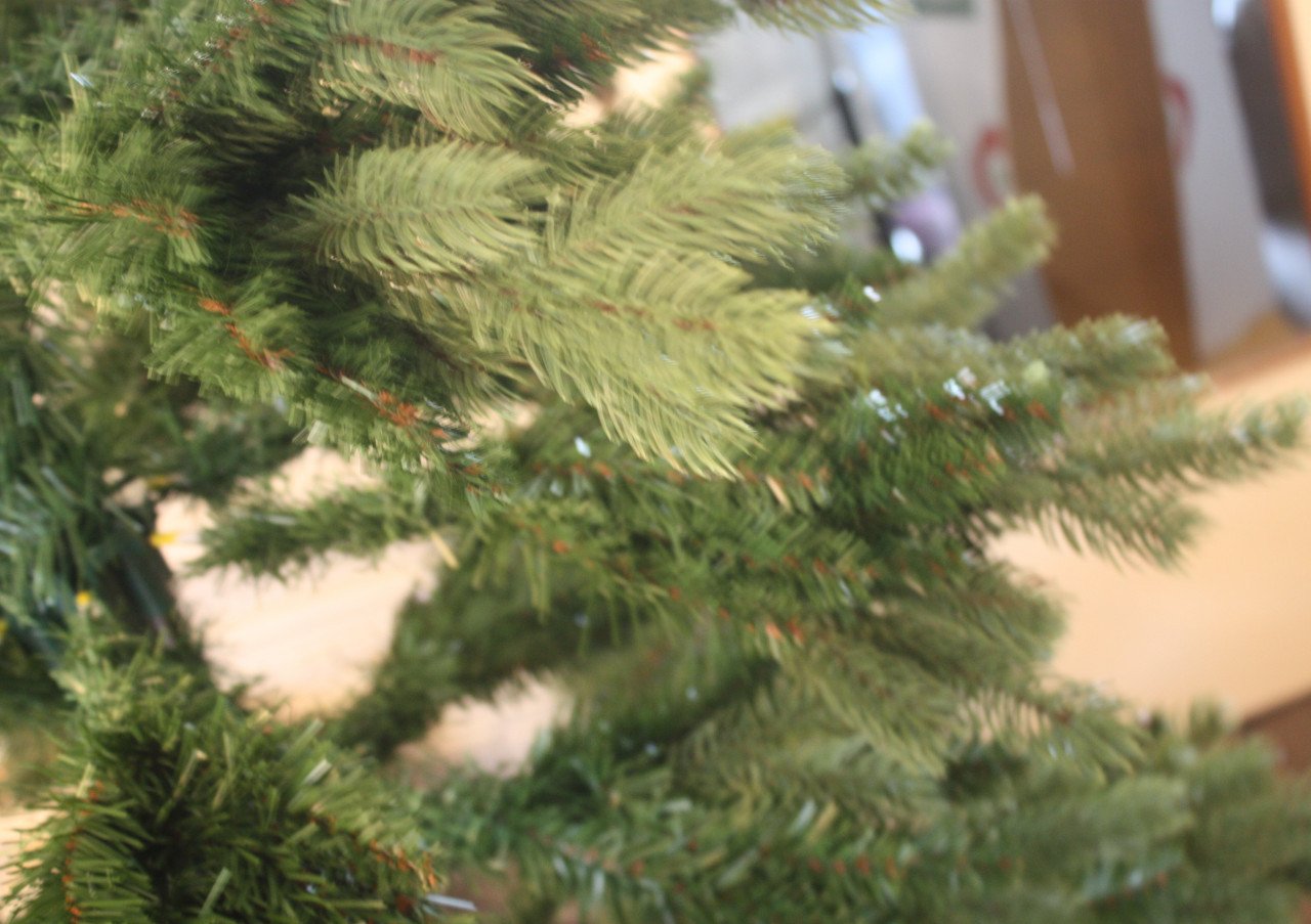 Grote mooie kerstboom triumph tree premium