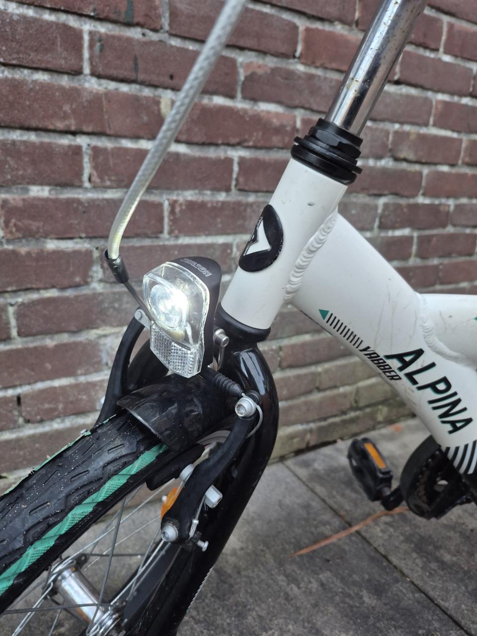 Alpina Yabber 2.0 18 inch fiets