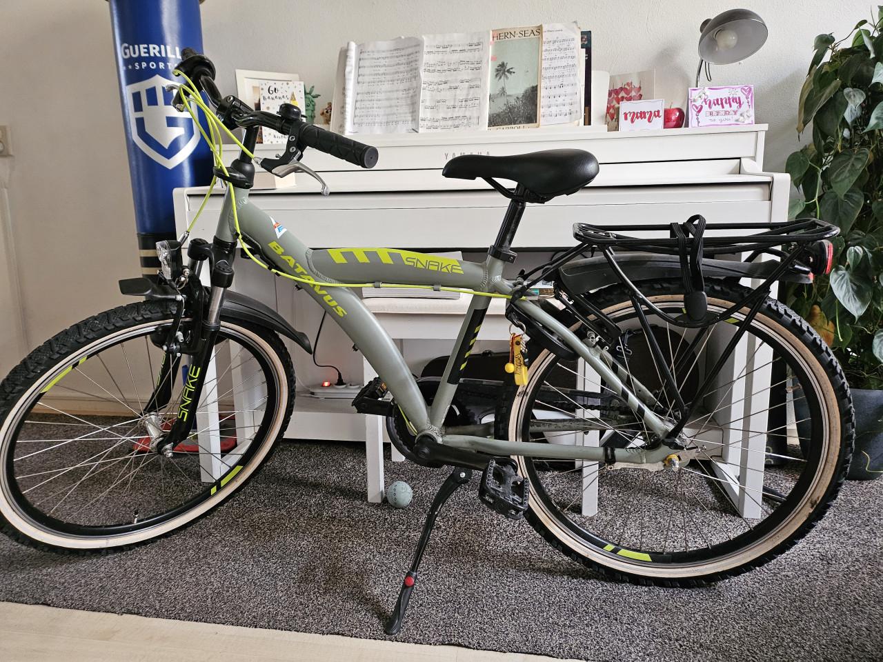 Batavus Snake jongensfiets 24 inch