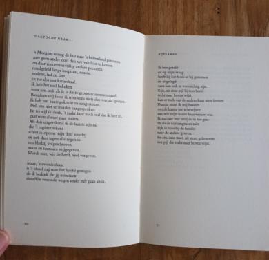 Buiten het bereik van Lantarens van Neeltje Zoetje Jobse Biggekerke