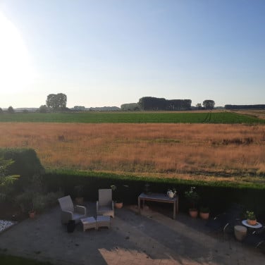 Gras