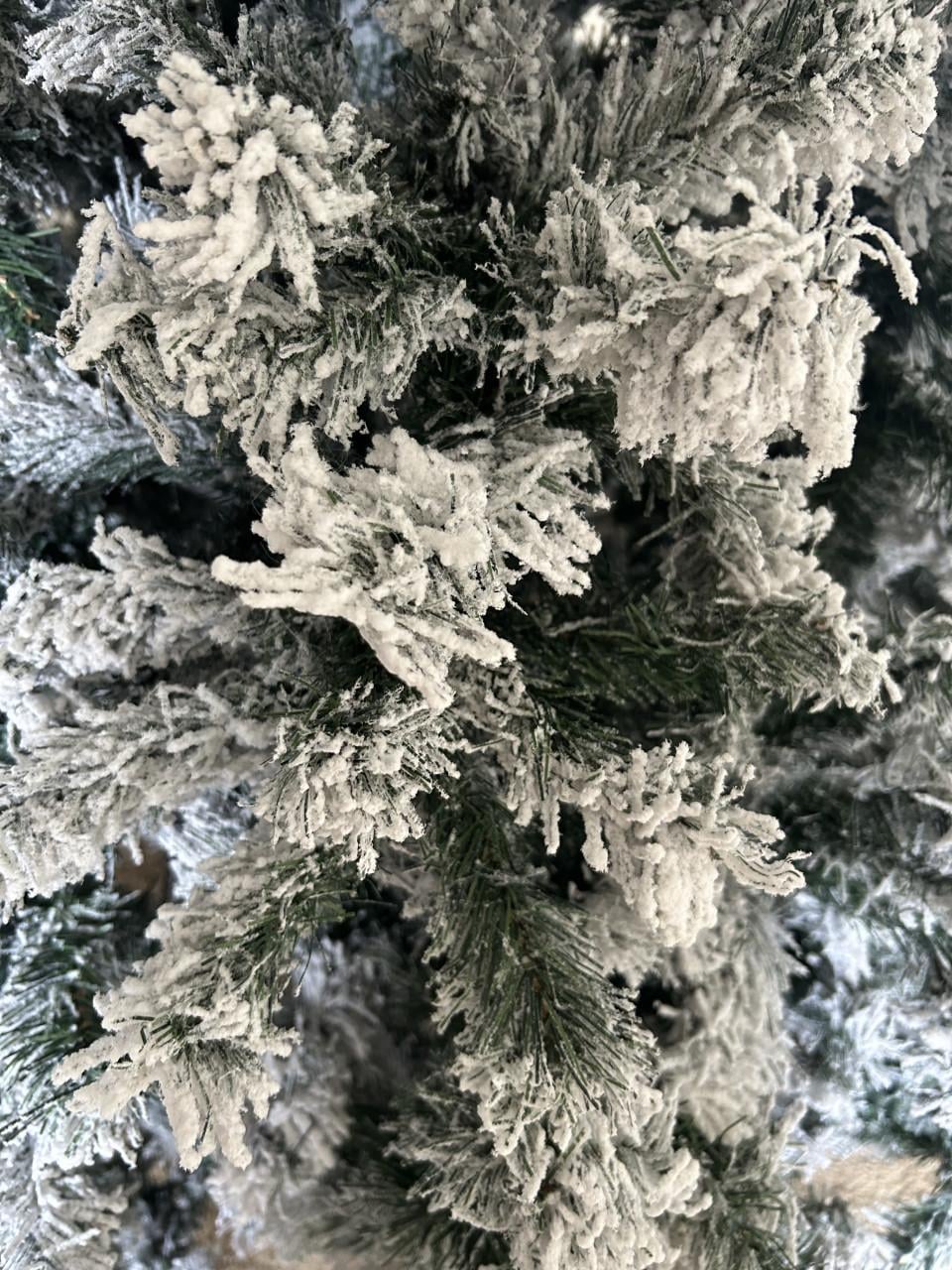 Kerstboom sneeuw. 2.40 m hoog