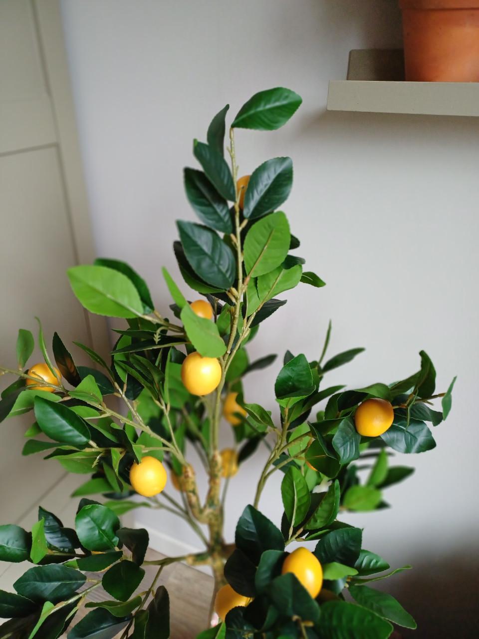 Kunst citroen boompje