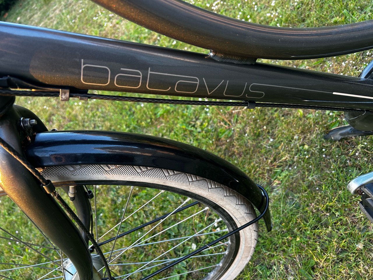 Batavus Diva damesfiets (50)