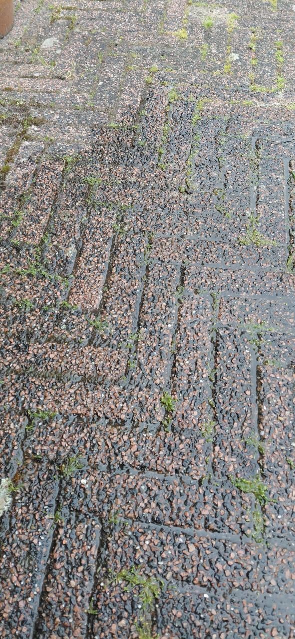 Klinkers 20x5x6 cm gratis op te halen