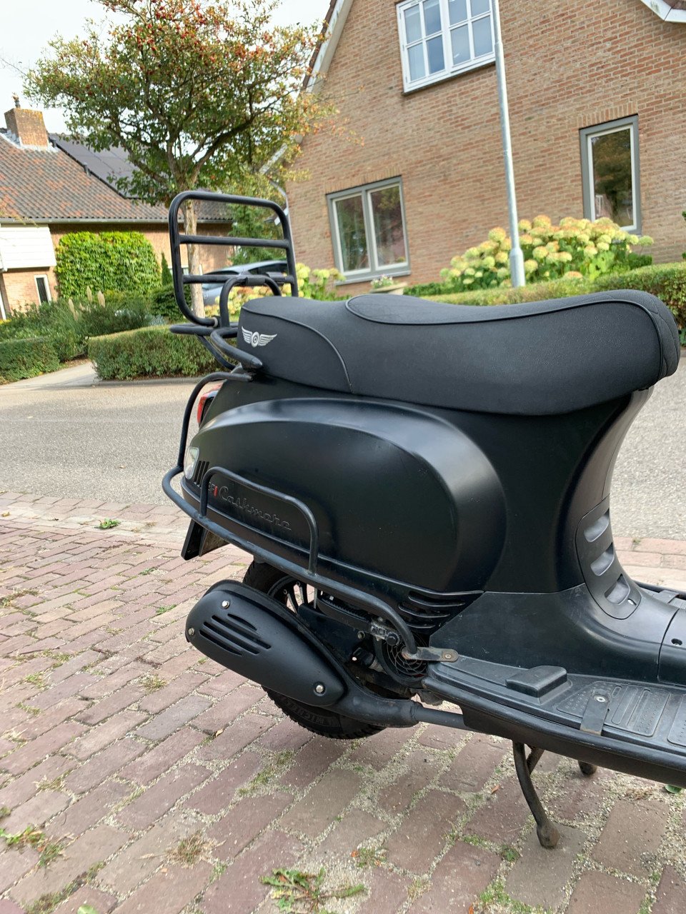 Djjd cashmere scooter 2021