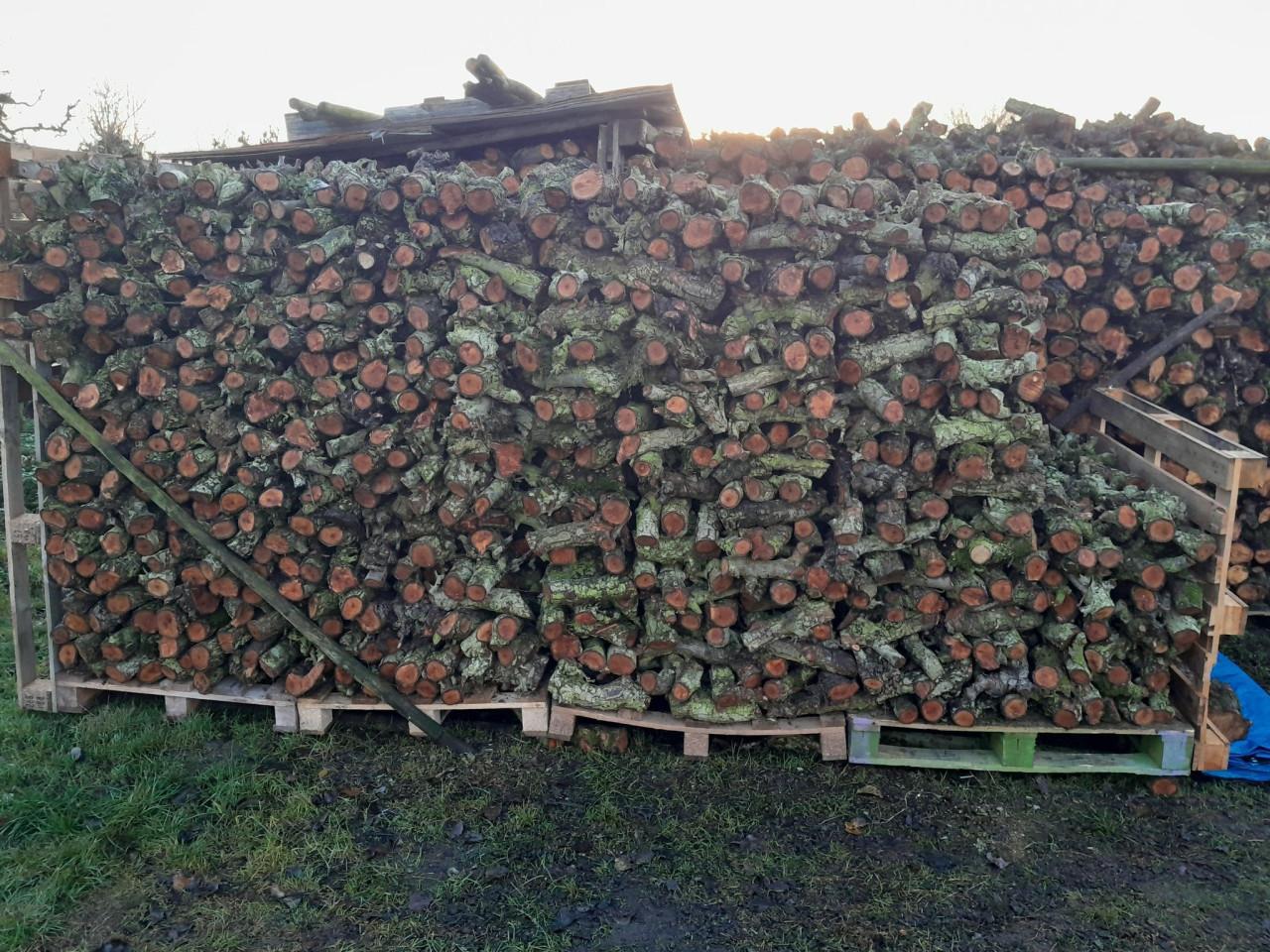Diverse soorten haardhout.