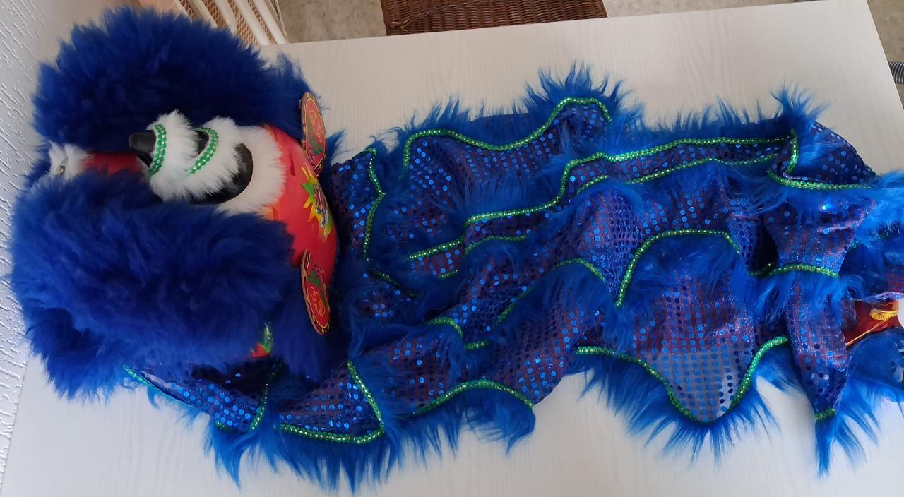 Lion Dance costuum HandicraftsUnionCN chinees nieuwjaar