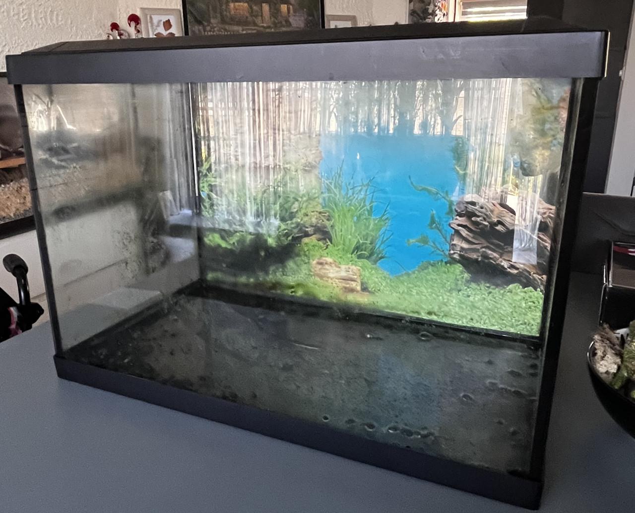 Aquarium