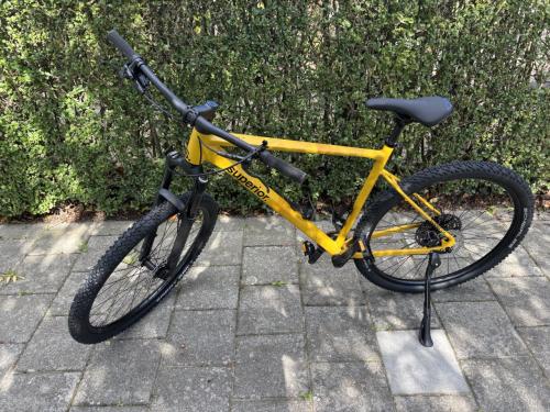 Superior MTB