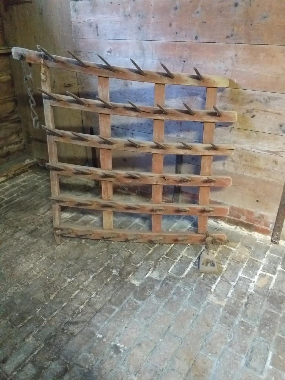 """"MOOIE PAARDENEG NOG IN PRIMA STAAT""