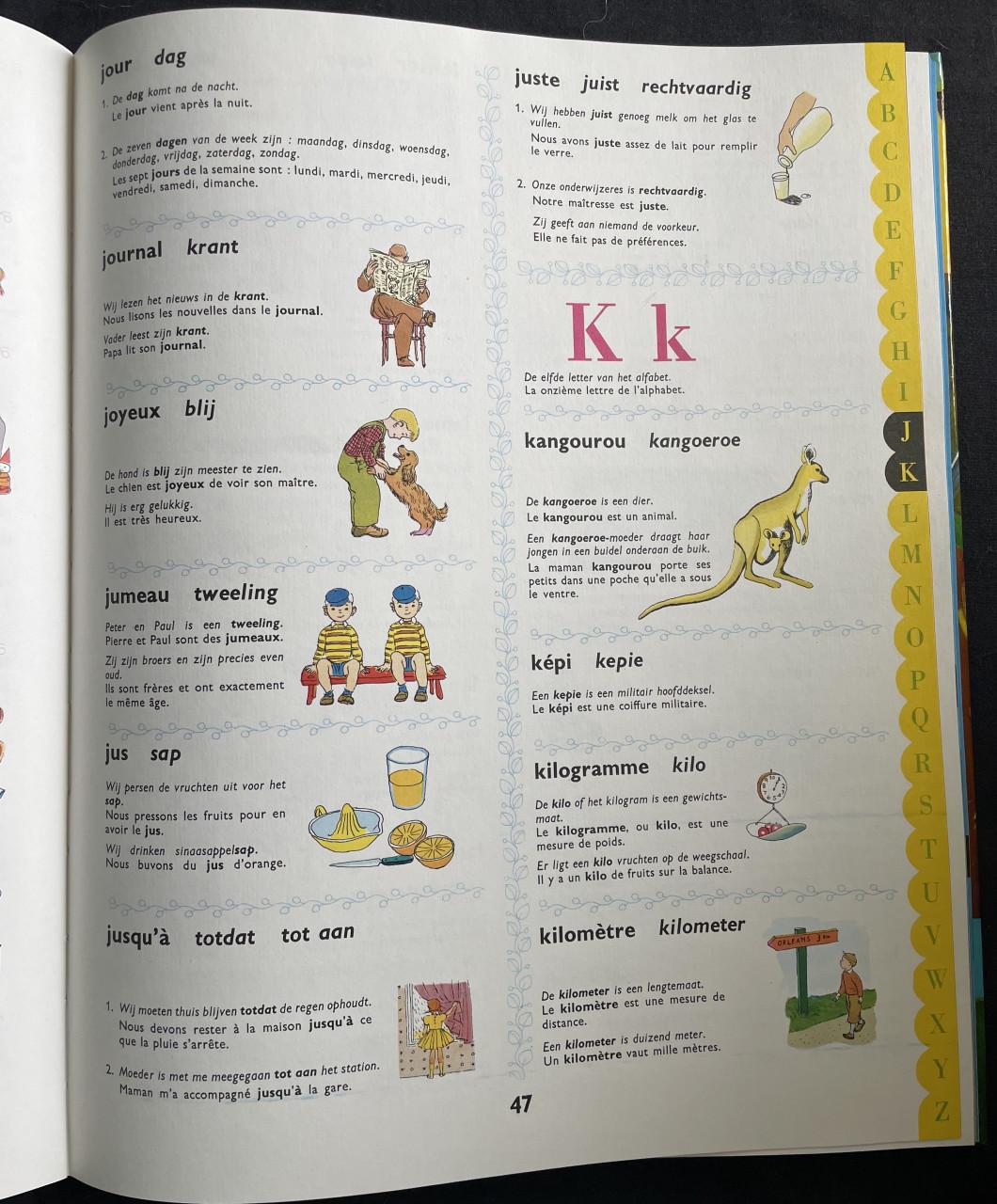 Frans Nederlands woordenboek