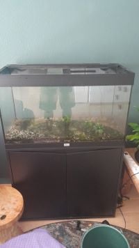 Aquarium met toebehoren