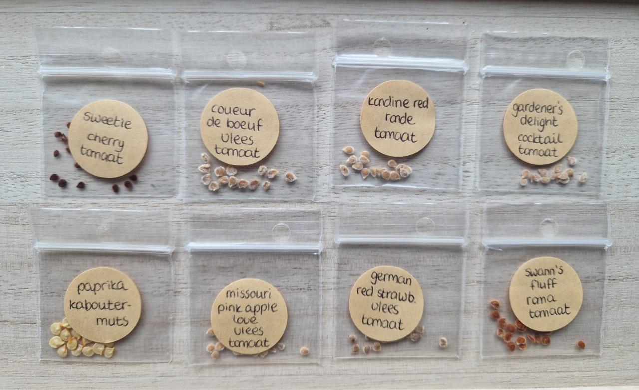 Nu zaaien! Zaden paprika Kaboutermuts - onbespoten