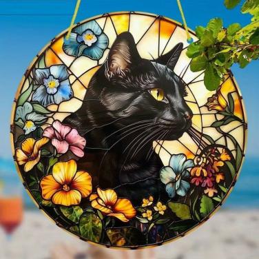 Raamhanger kat - poes