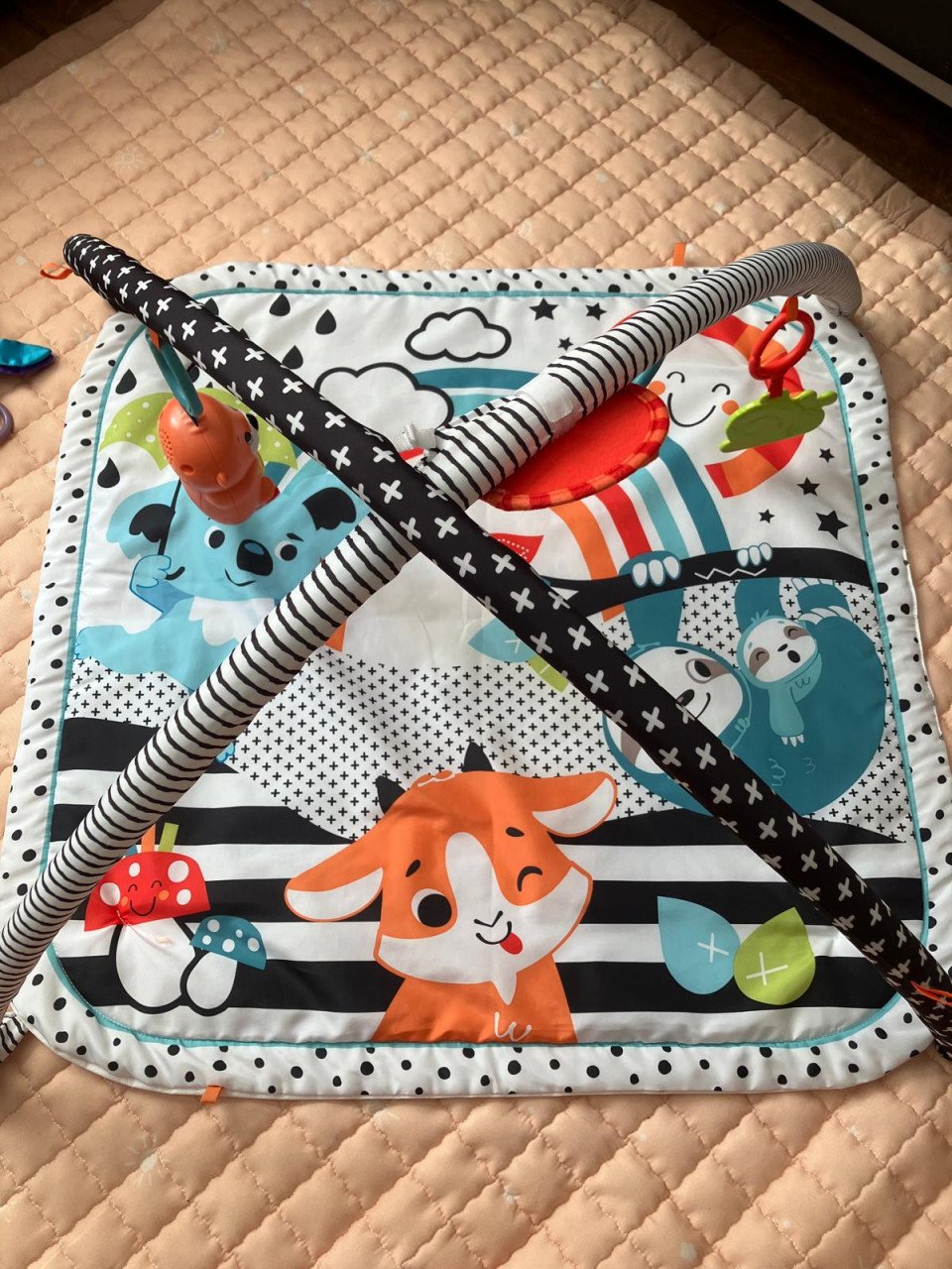 Fisher-Price speelkleed / BabyGym