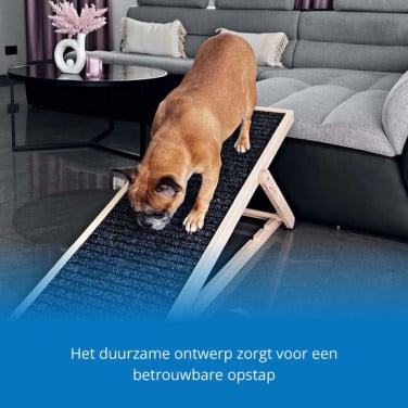 Hondenloopplank