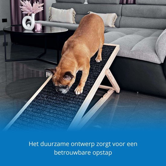 Hondenloopplank