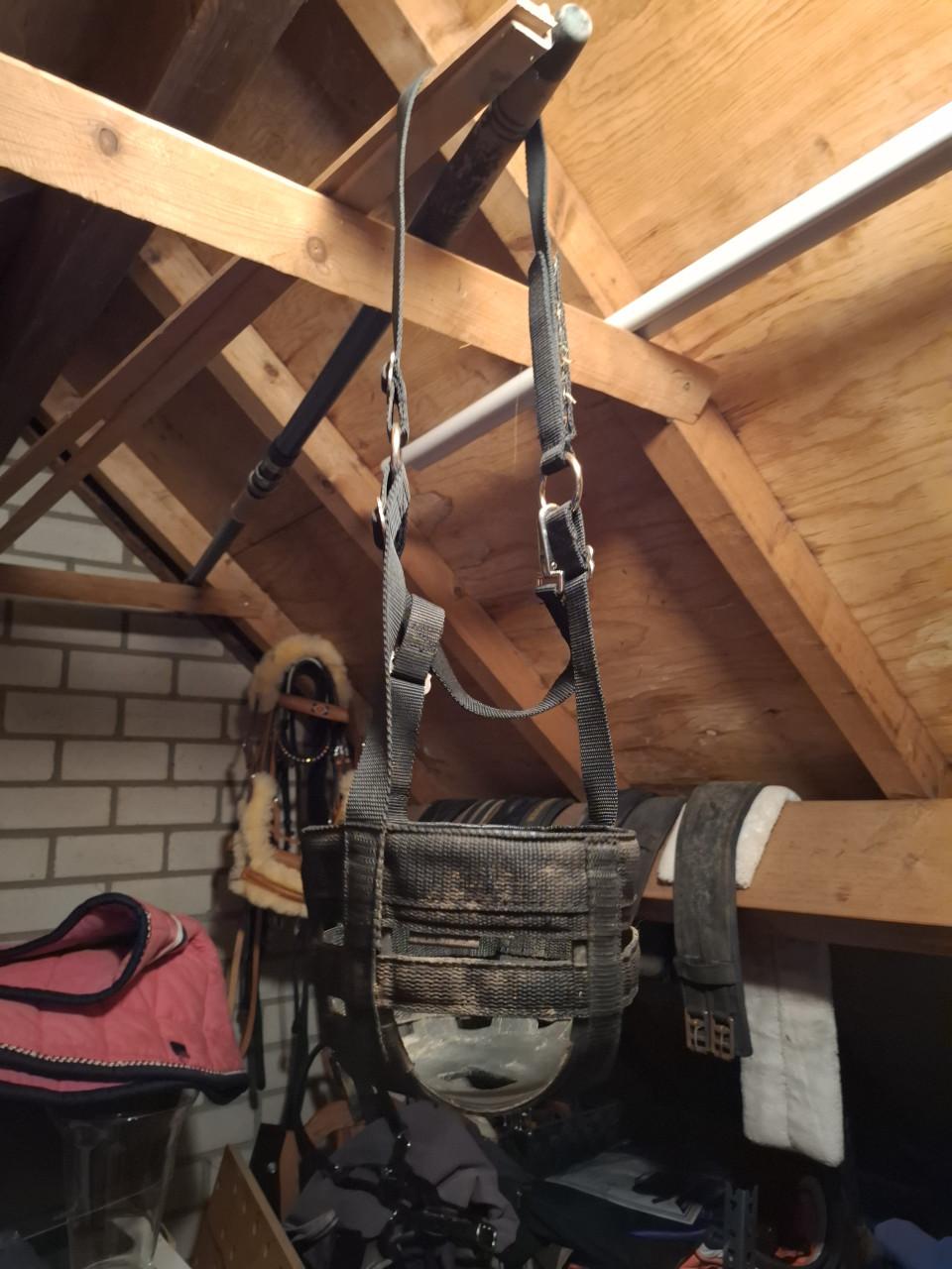 Halsters