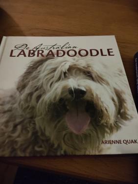 Boek, de Australian Labradoodle