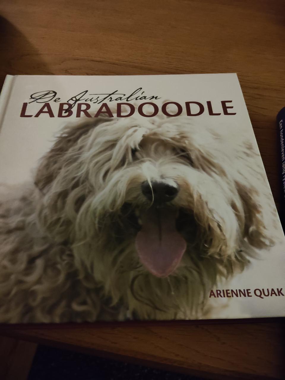 Boek, de Australian Labradoodle