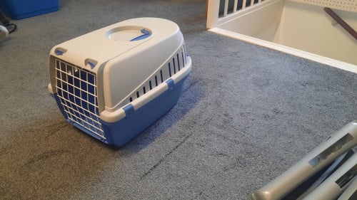 Katten reismand