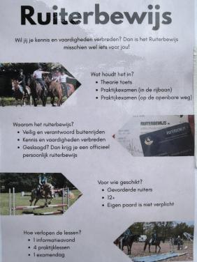 RUITERBEWIJS HALEN