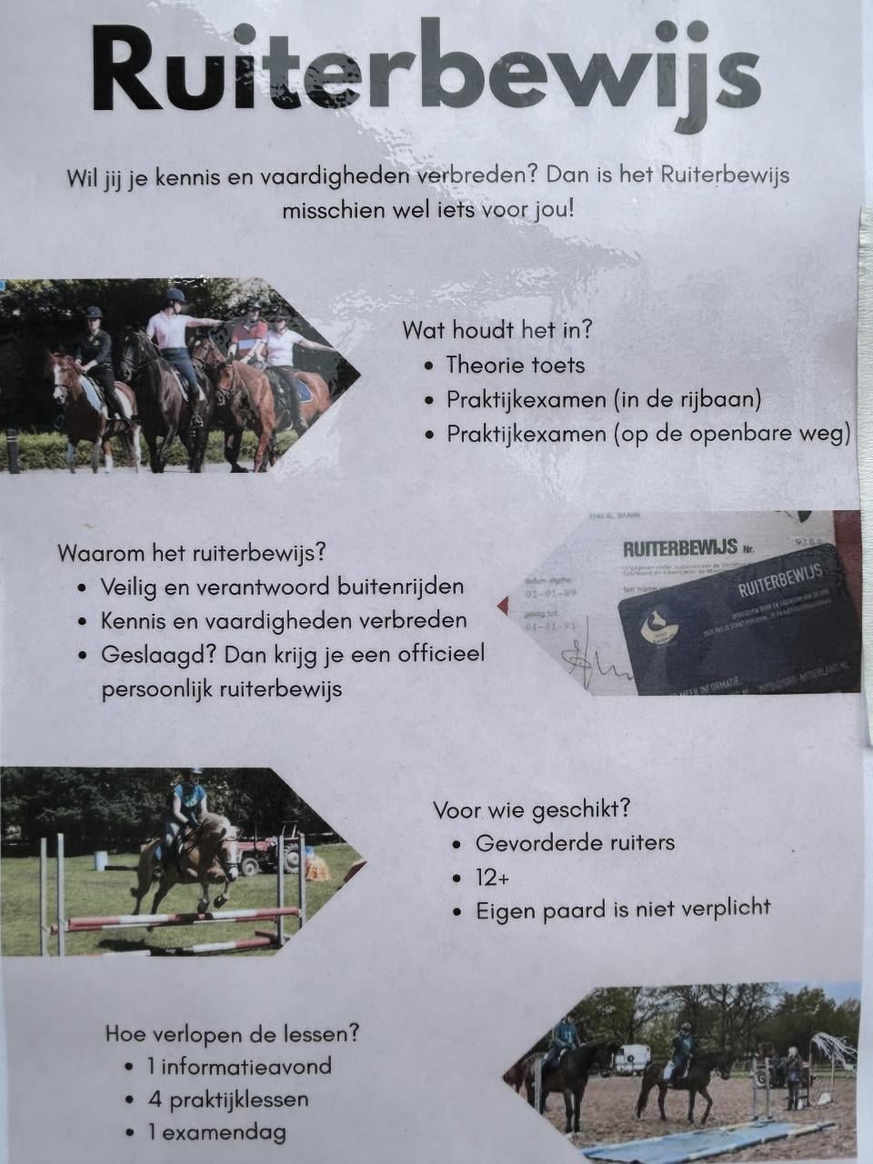RUITERBEWIJS HALEN
