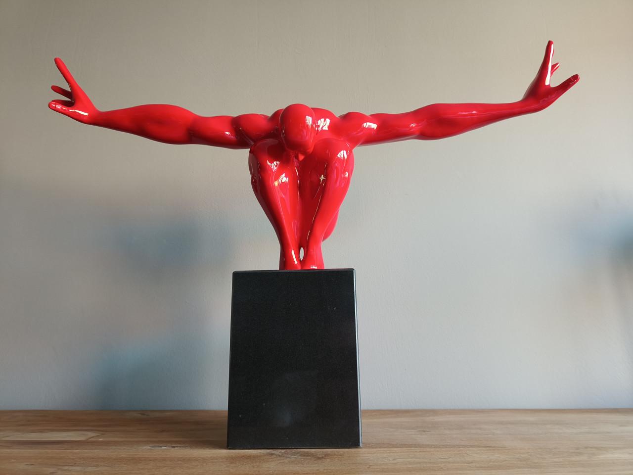 Beeld zwematleet / duiker