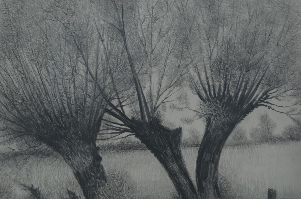 9 x Hendrik Voskuijl (1893 - 1980) potloodtek. bomen (1) o.a. Slenaken