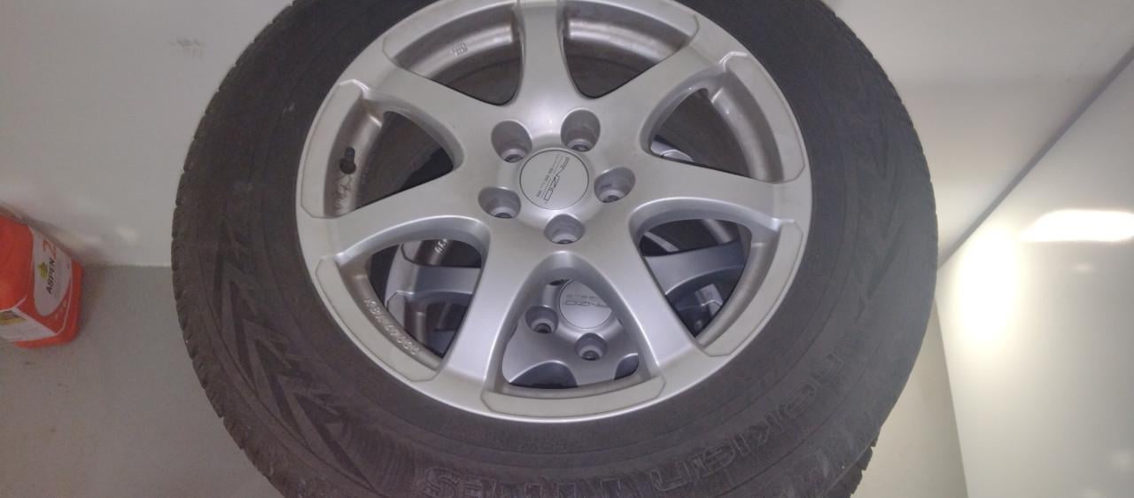 Winterbanden 225 65 R17 106H