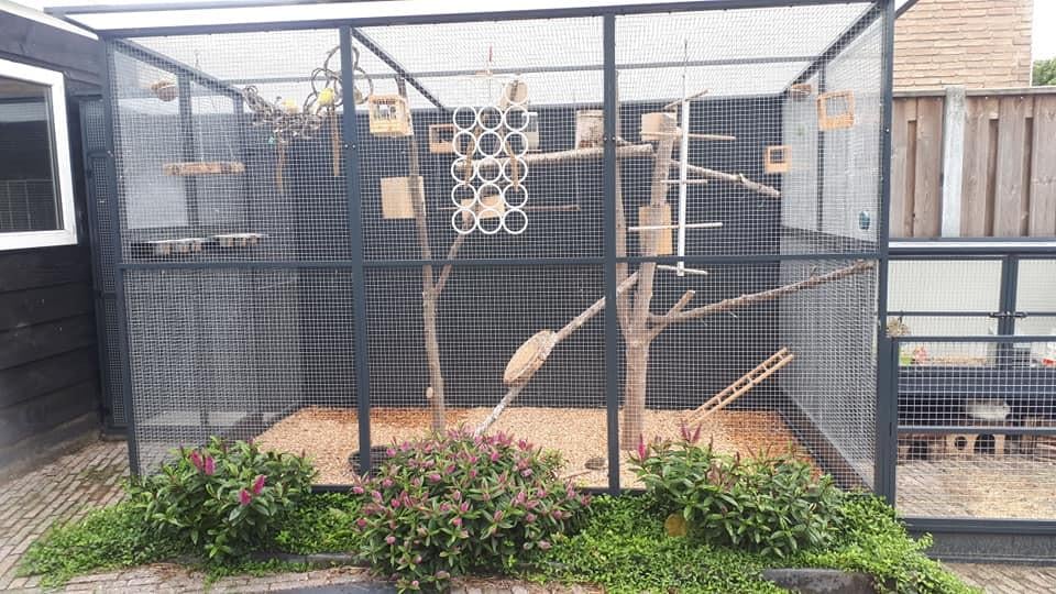 Voliere`s, verblijven,maatwerk......