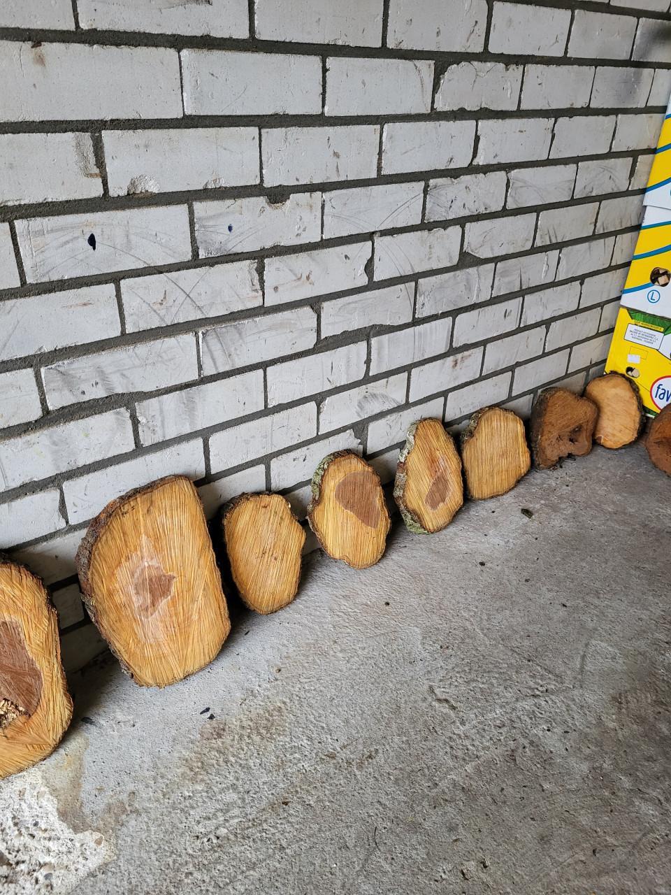 Schijven van perenbomen.