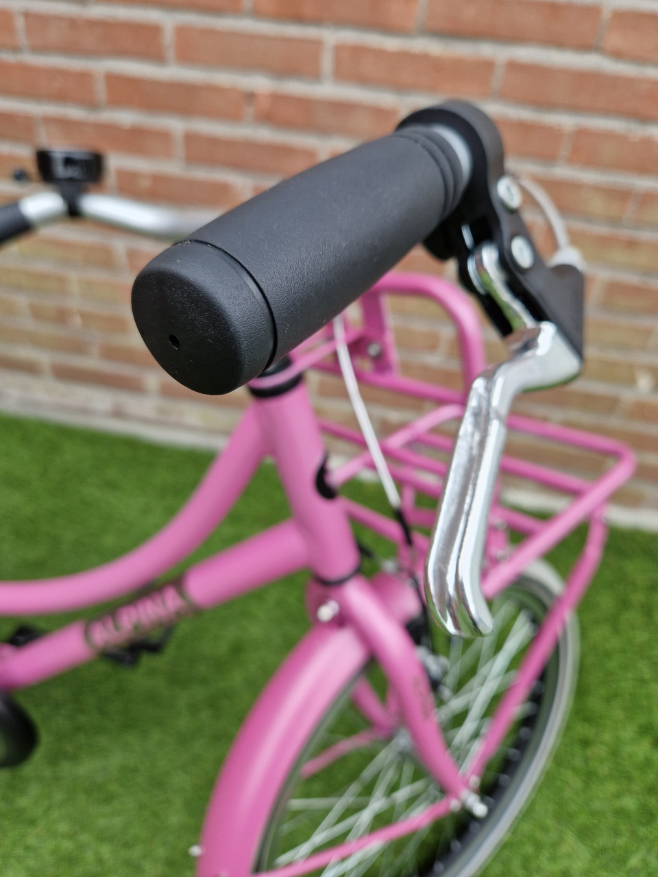Alpina Cargo 20 inch SUPER STAAT