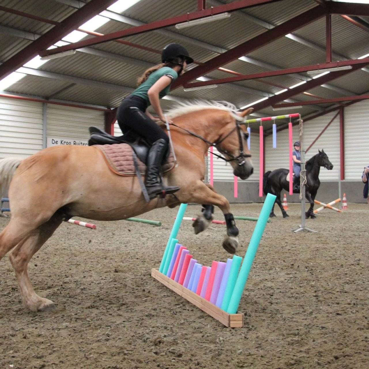 Ponykamp In Middelburg!