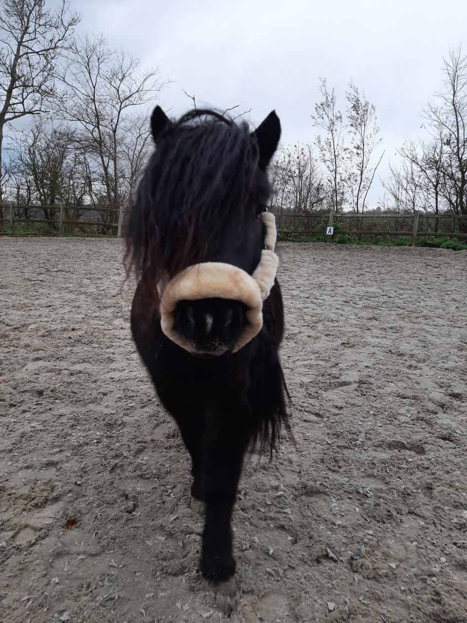 Halster met bont QHP maat shet