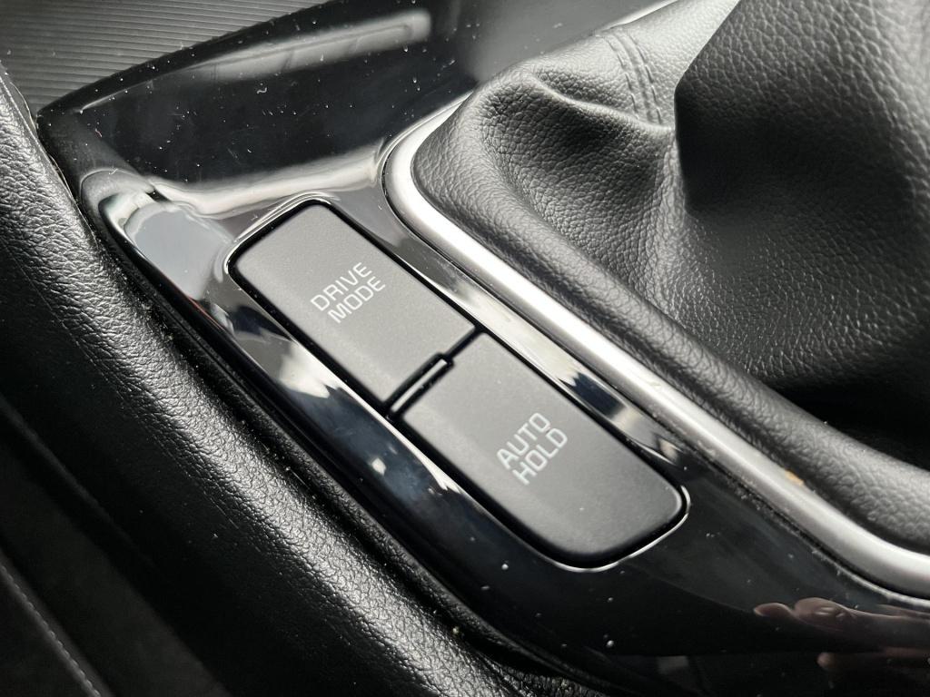 Kia Sportage 1.6 t-gdi mhev dynamicline | adaptive cruise control | climate