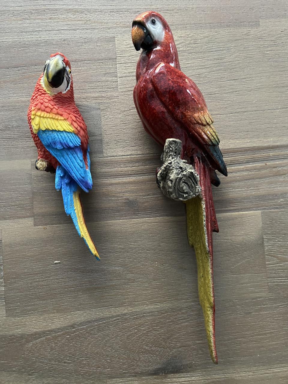 2 leuke papegaaien voor aan de muur