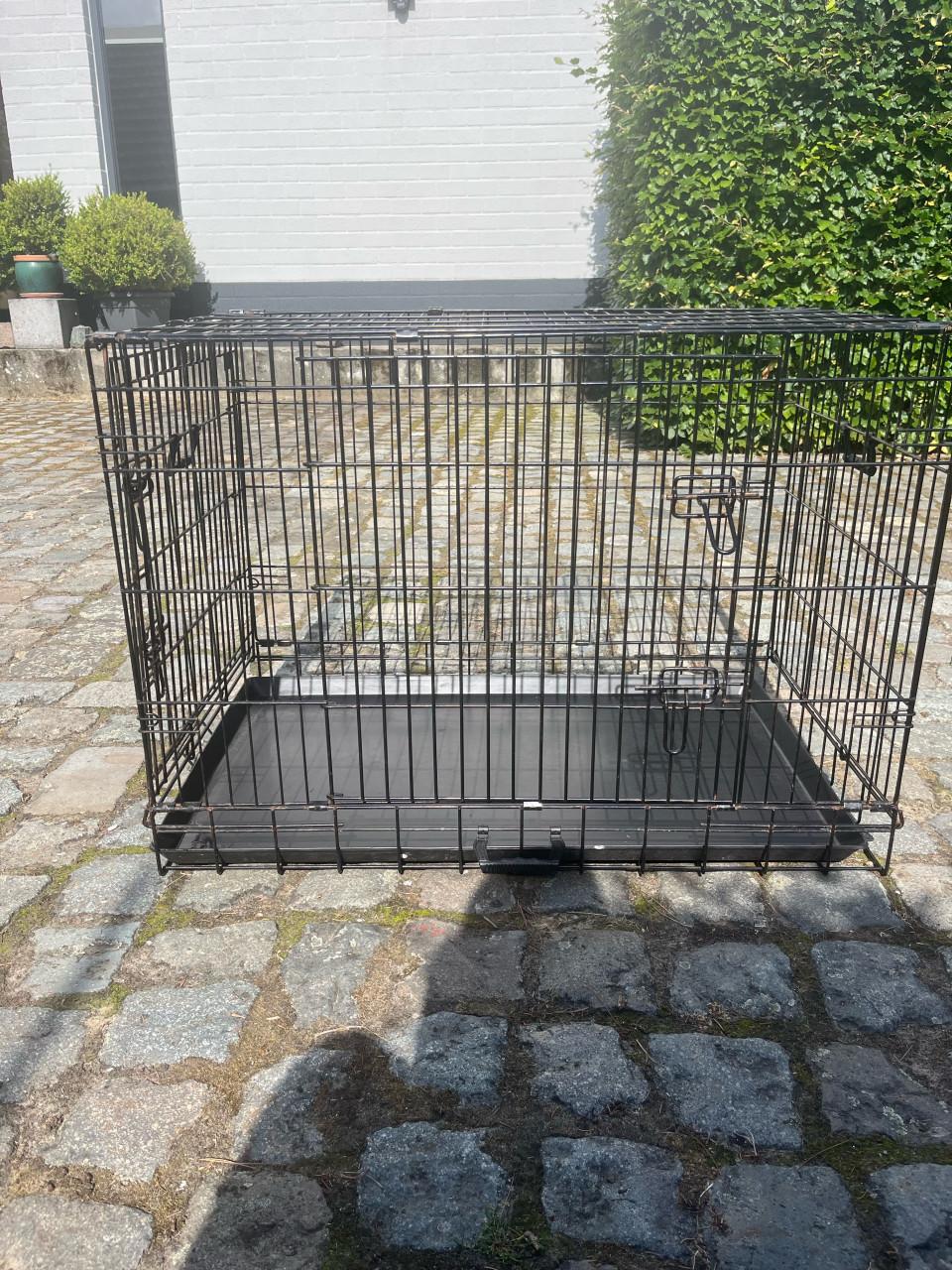 Bench hond